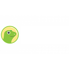 Coin Gecko